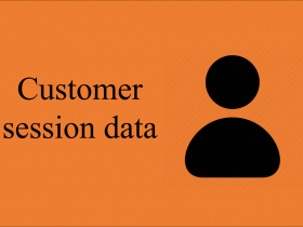 get customer session data