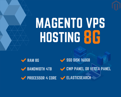 Package VPS 8G
